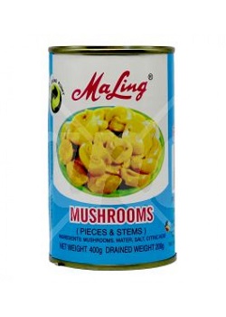 Mushroom - Malinge